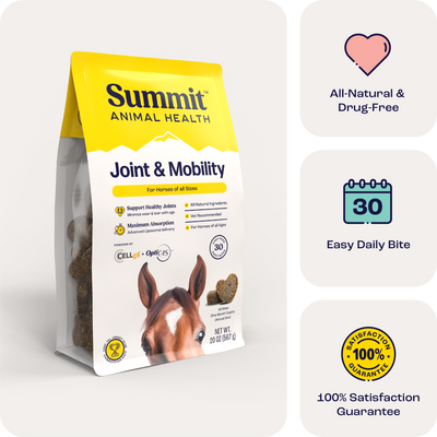 Joint & Mobility Bites for Horses