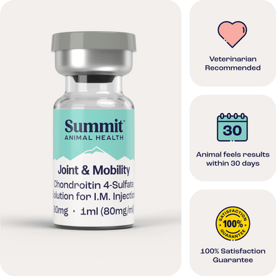 Joint & Mobility IM for Dogs