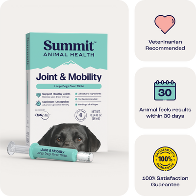 Joint & Mobility Liquid for Large Dogs