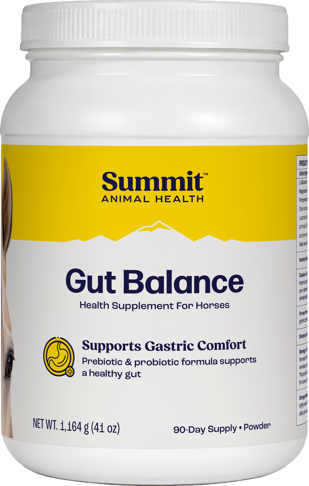 Gut Balance