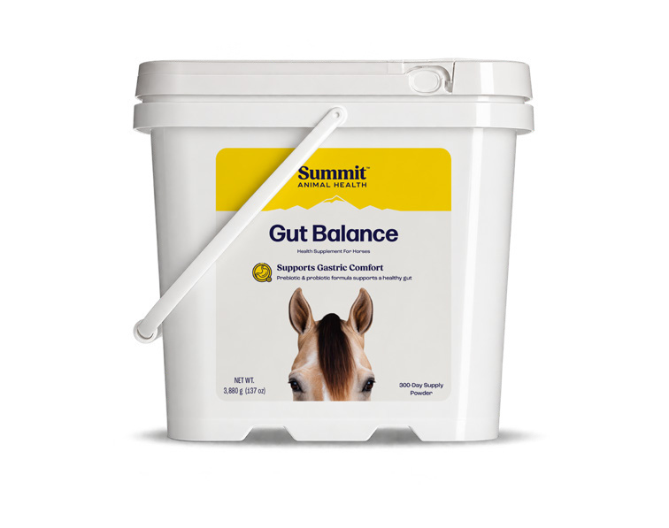 300-day Gut Balance supply