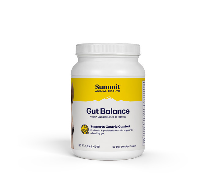 90-day Gut Balance supply