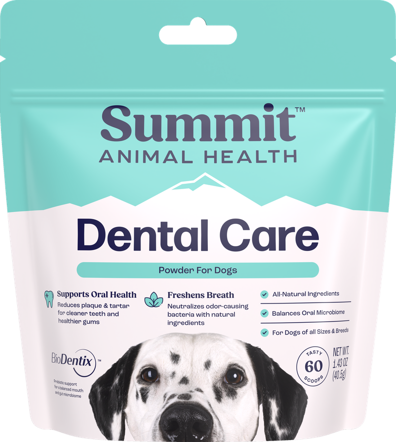 Dental Care for Dogs