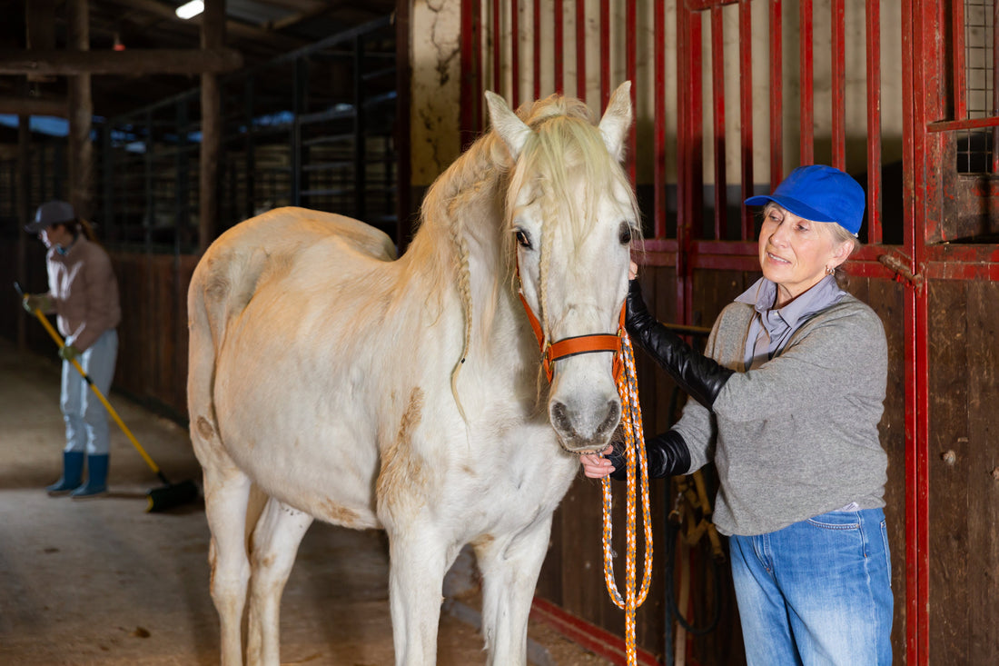 Horse Joint Health for Seniors: What Really Works?