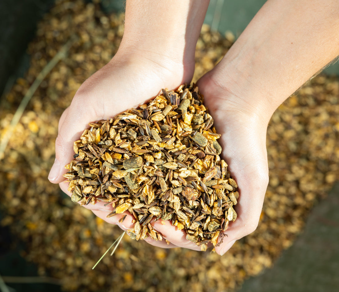 Horse Ulcer Prevention: A Diet & Management Guide