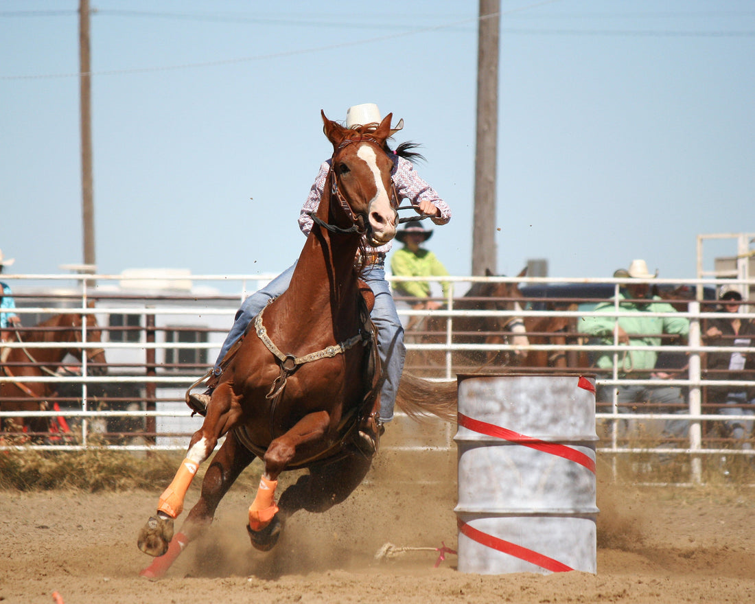 Anti-Inflammatory for Horses: A Complete Guide
