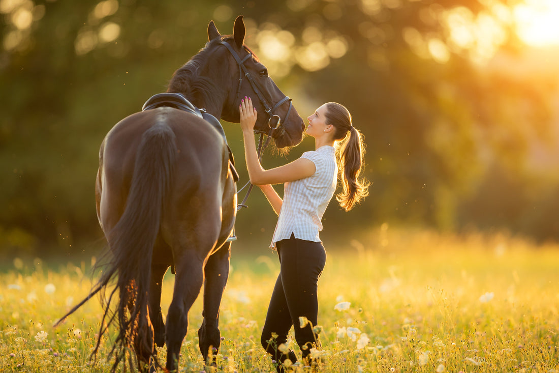 The Essential Guide to Equine Digestive Supplements
