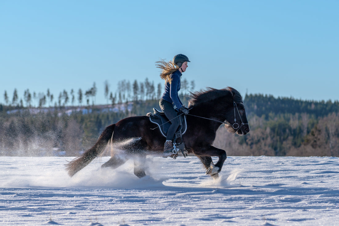 Best Supplements for Horses with Stiff Joints: A Guide