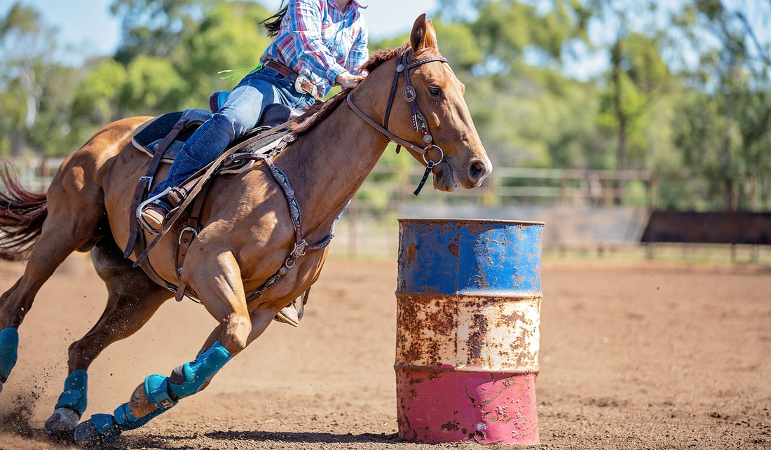 Turmeric for Horses with Arthritis: A Complete Guide