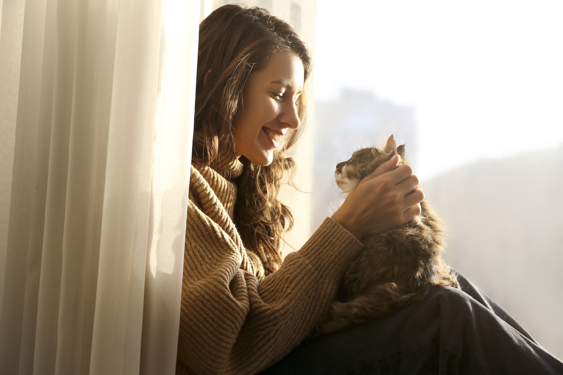 Chondroitin Supplements for Cats: A Pet Owner's Guide