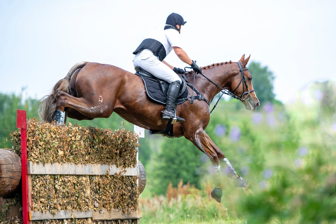 Equine Muscle Recovery: A Step-by-Step Guide