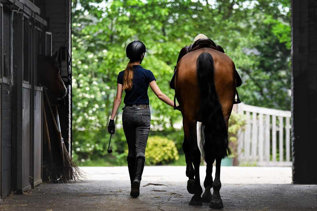 Biotin Supplement for Horses: A Complete Guide