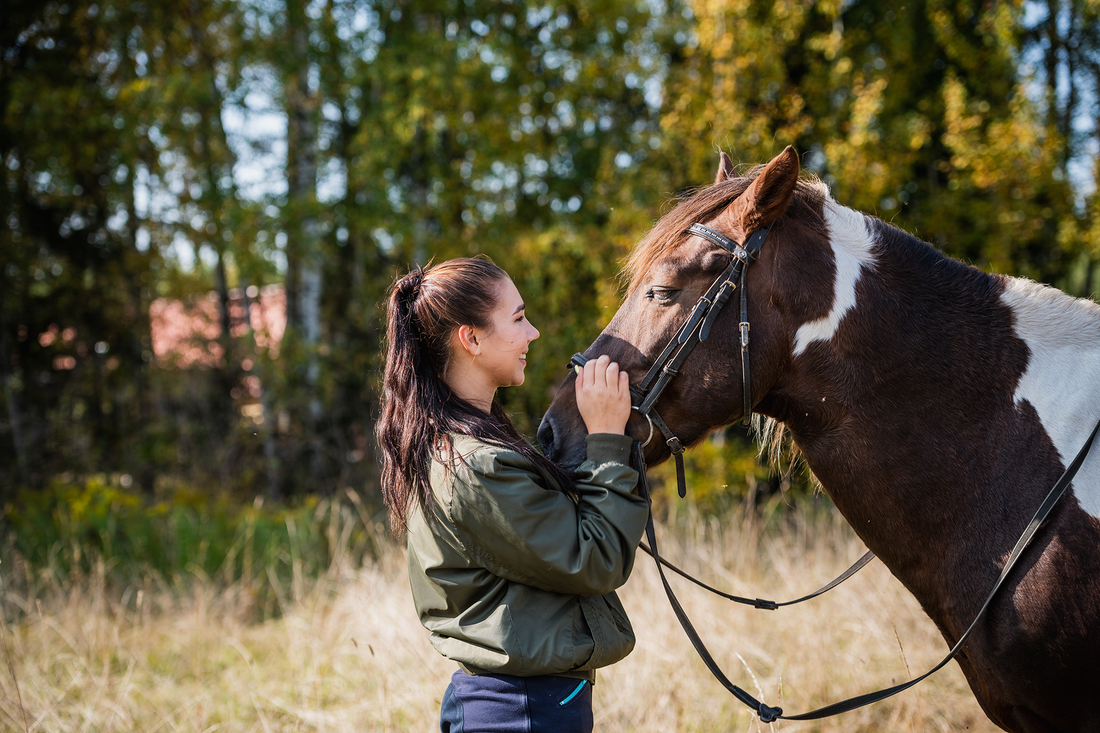 Cost of Joint Injections for Horses: A Price Guide