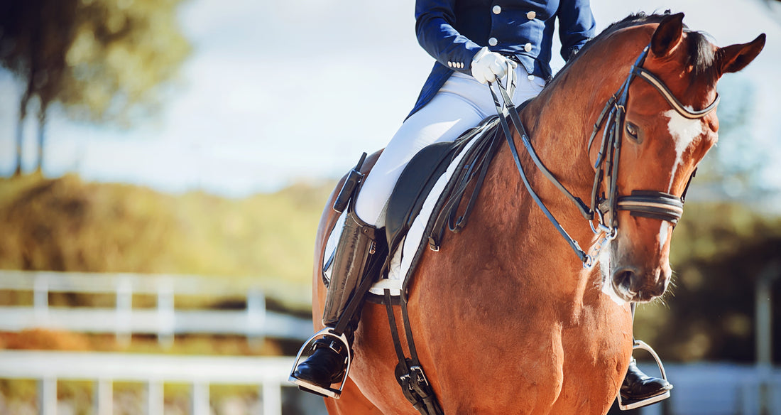 What Is Summit Equine Care? A Vet's Insight