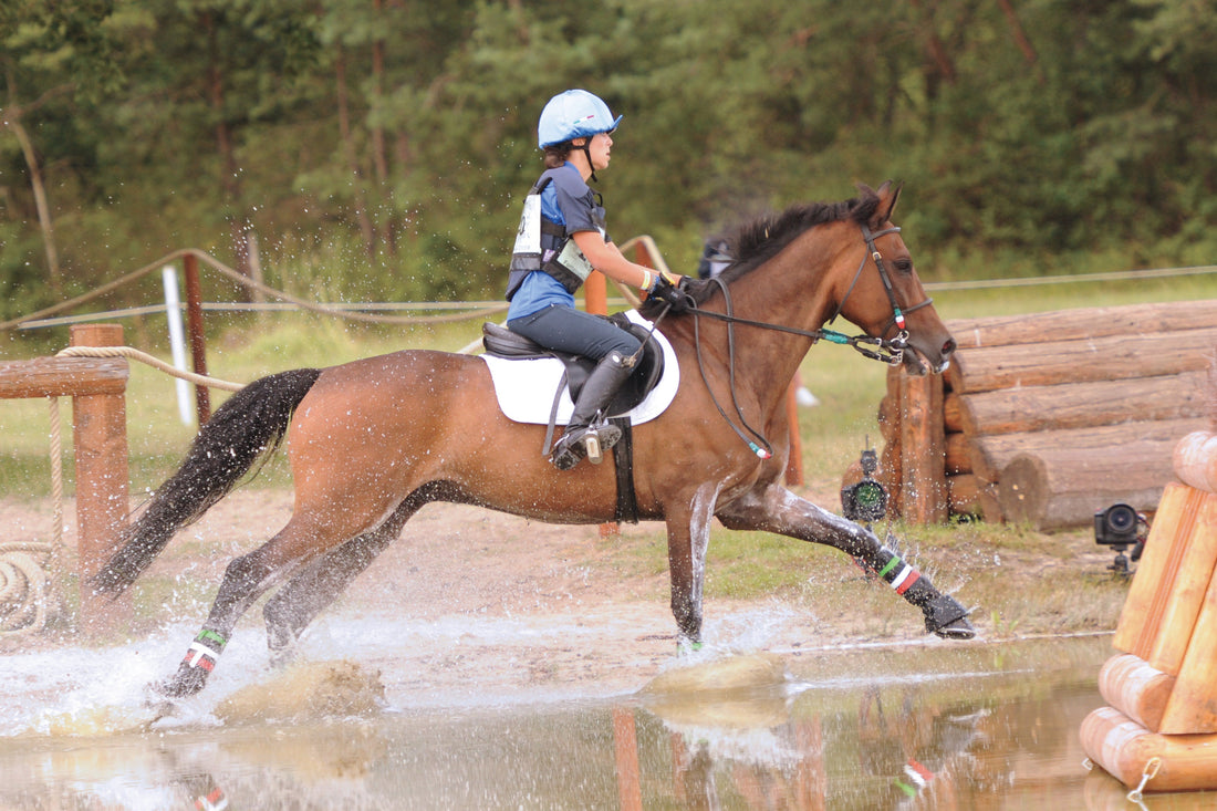 Effective Methods for Equine Joint Stiffness Relief