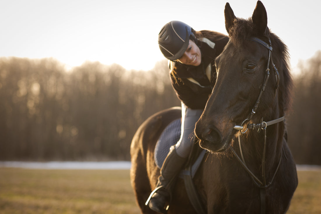 How to Spot a Quality Equine Joint Health Bundle Deal