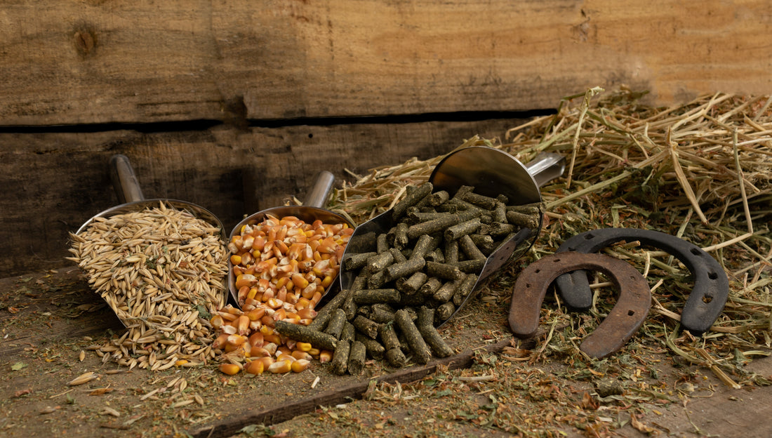 Remission Horse Supplement Review: Key Benefits and Ingredients