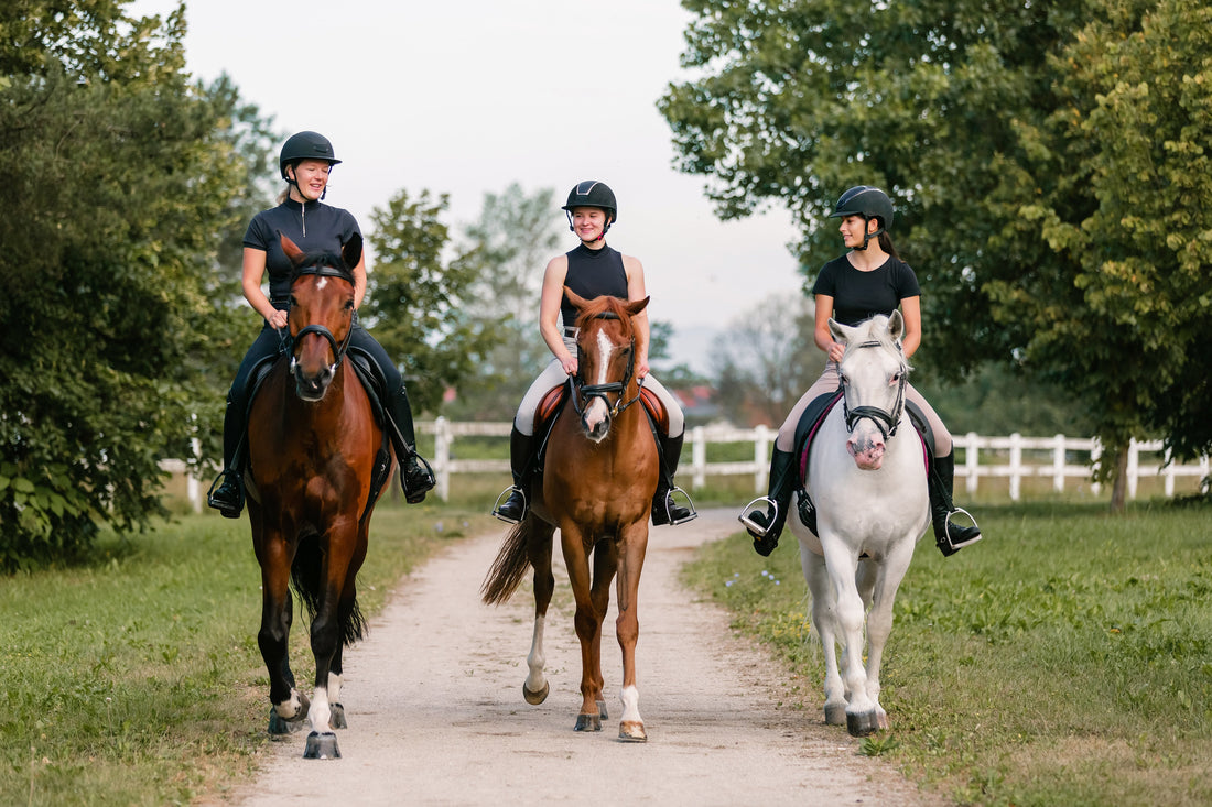 A Rider's Guide to Performance Supplements for Horses