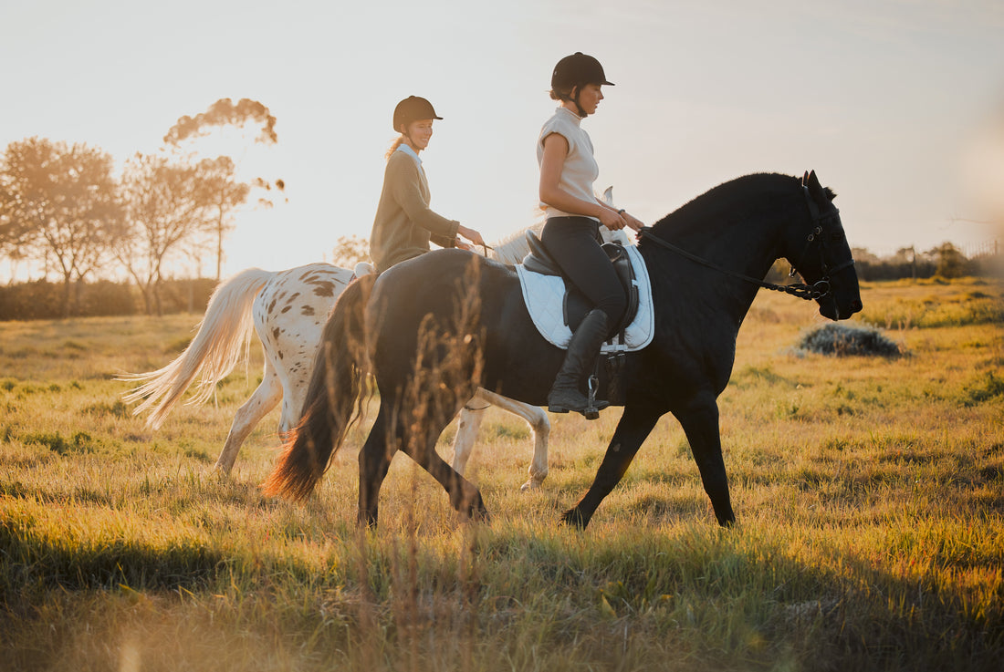 Your Guide to Managing Arthritis in Older Horses