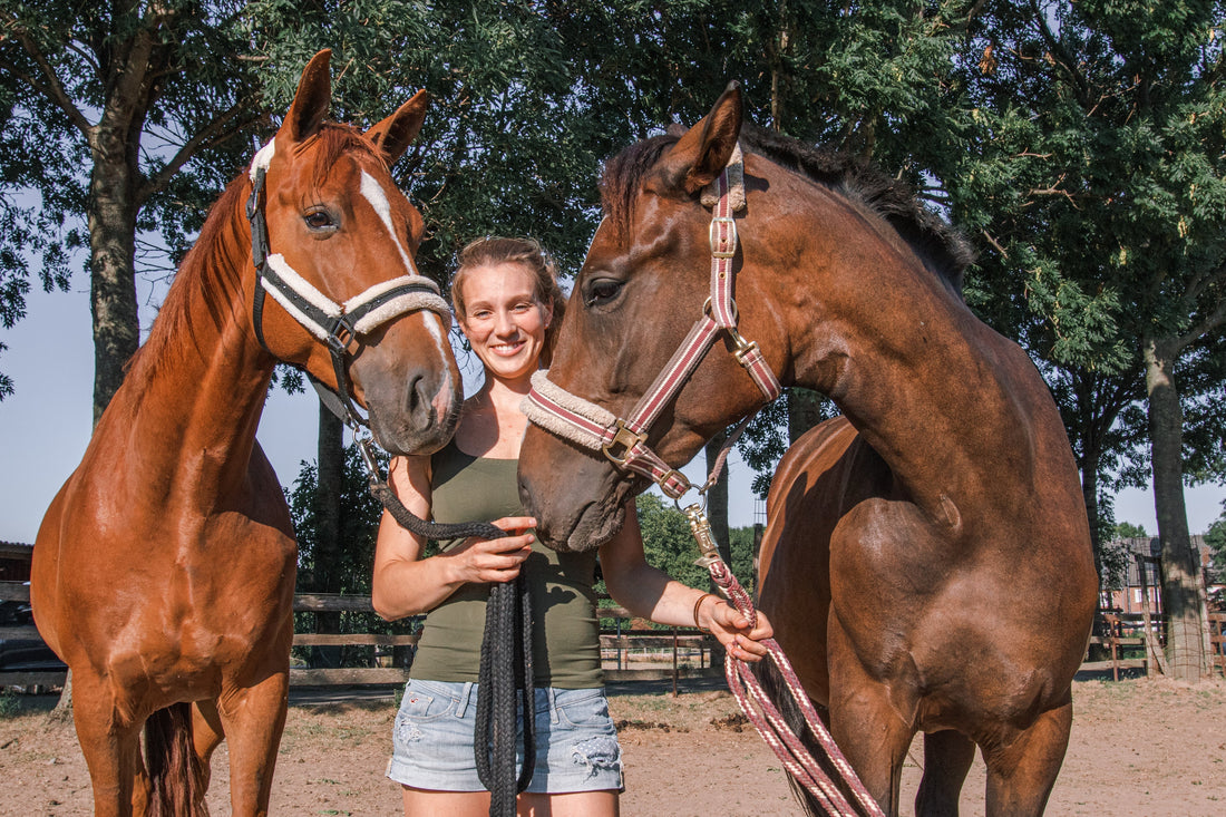 Equine Gut Health 101: A Complete Owner's Guide