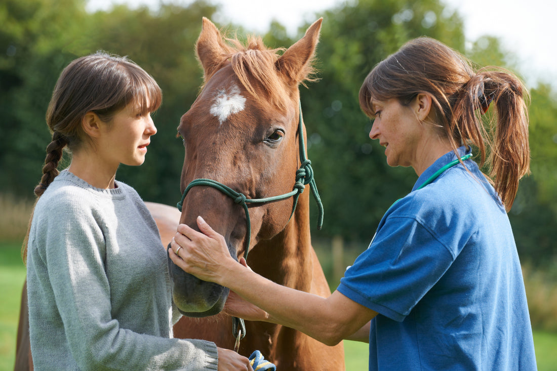 BCAA for Horses: The Science, Myths, and Facts