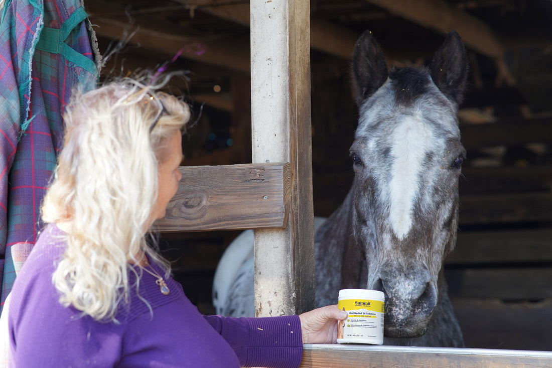 The Essential Guide to Equine Amino Acid Supplements