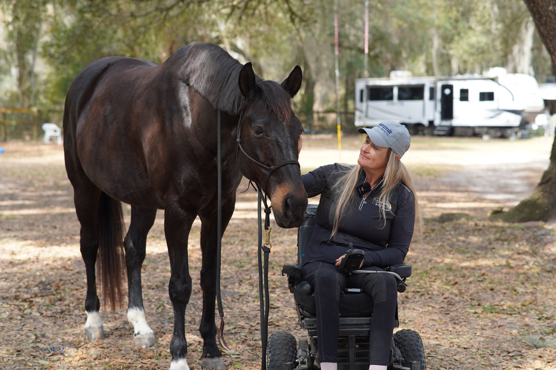 How to Choose the Best Joint Supplement for Senior Horses