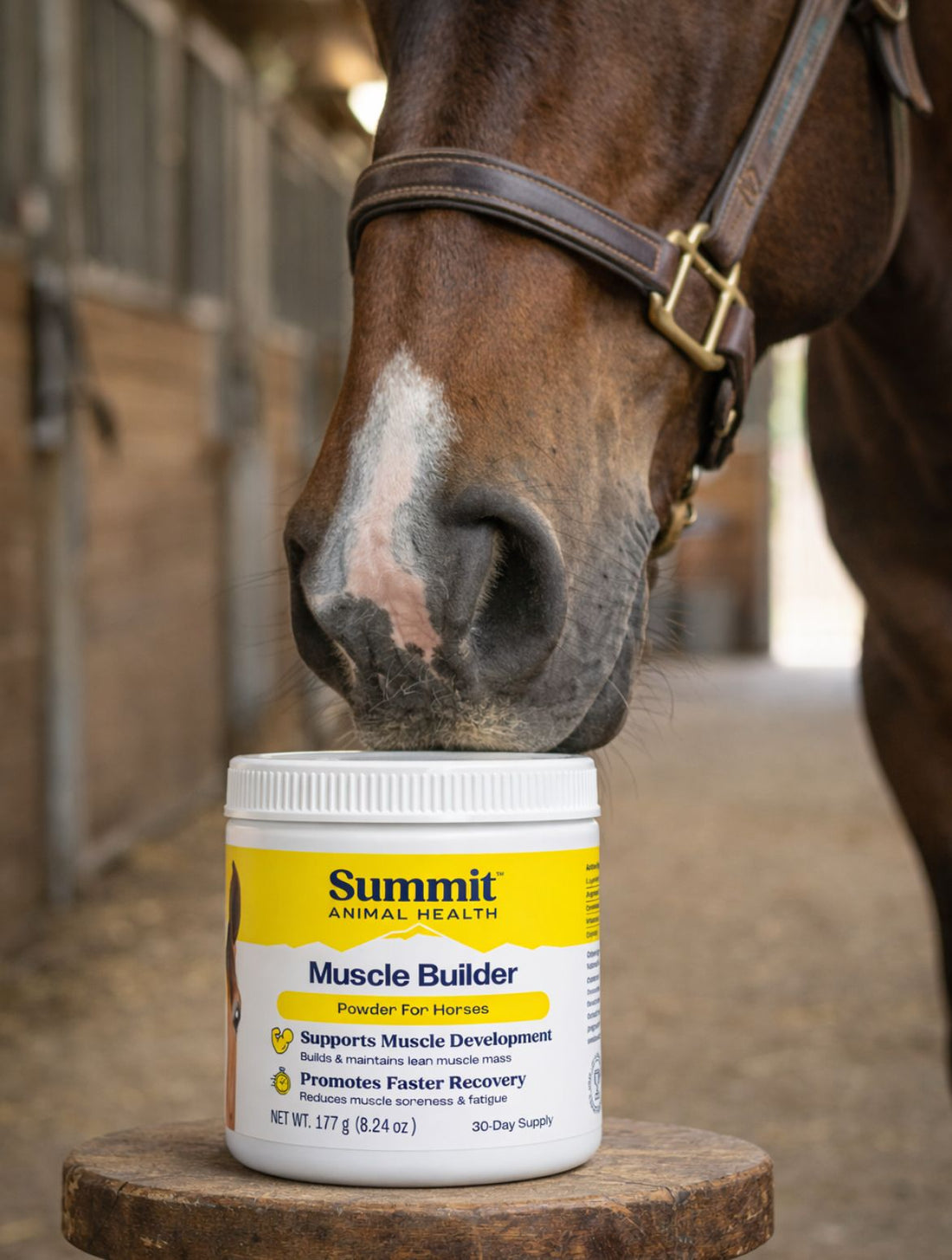 Horse Muscle Supplement: What Actually Works?