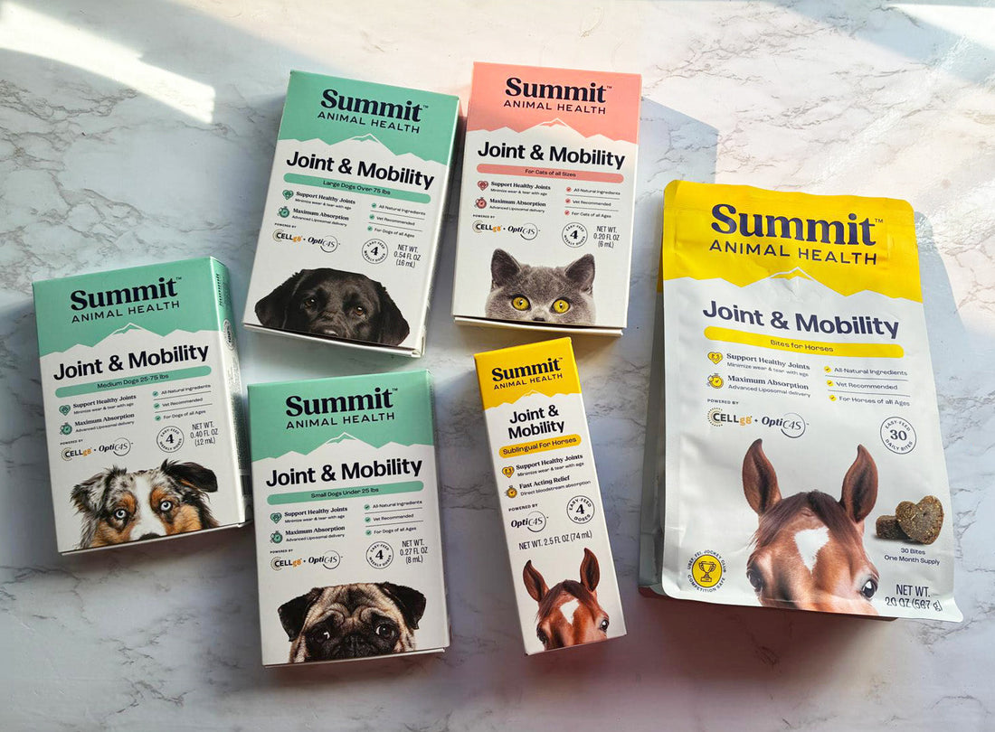 Summit Joint Mobility Price: A Complete Breakdown