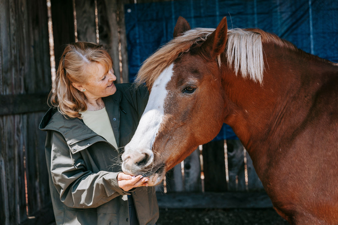 Horse Supplements Joints: Practical Guide for Owners
