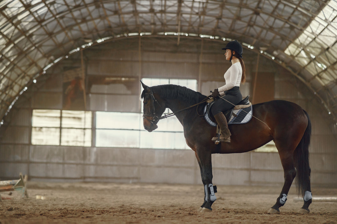 Your Equine Post-Competition Recovery Game Plan