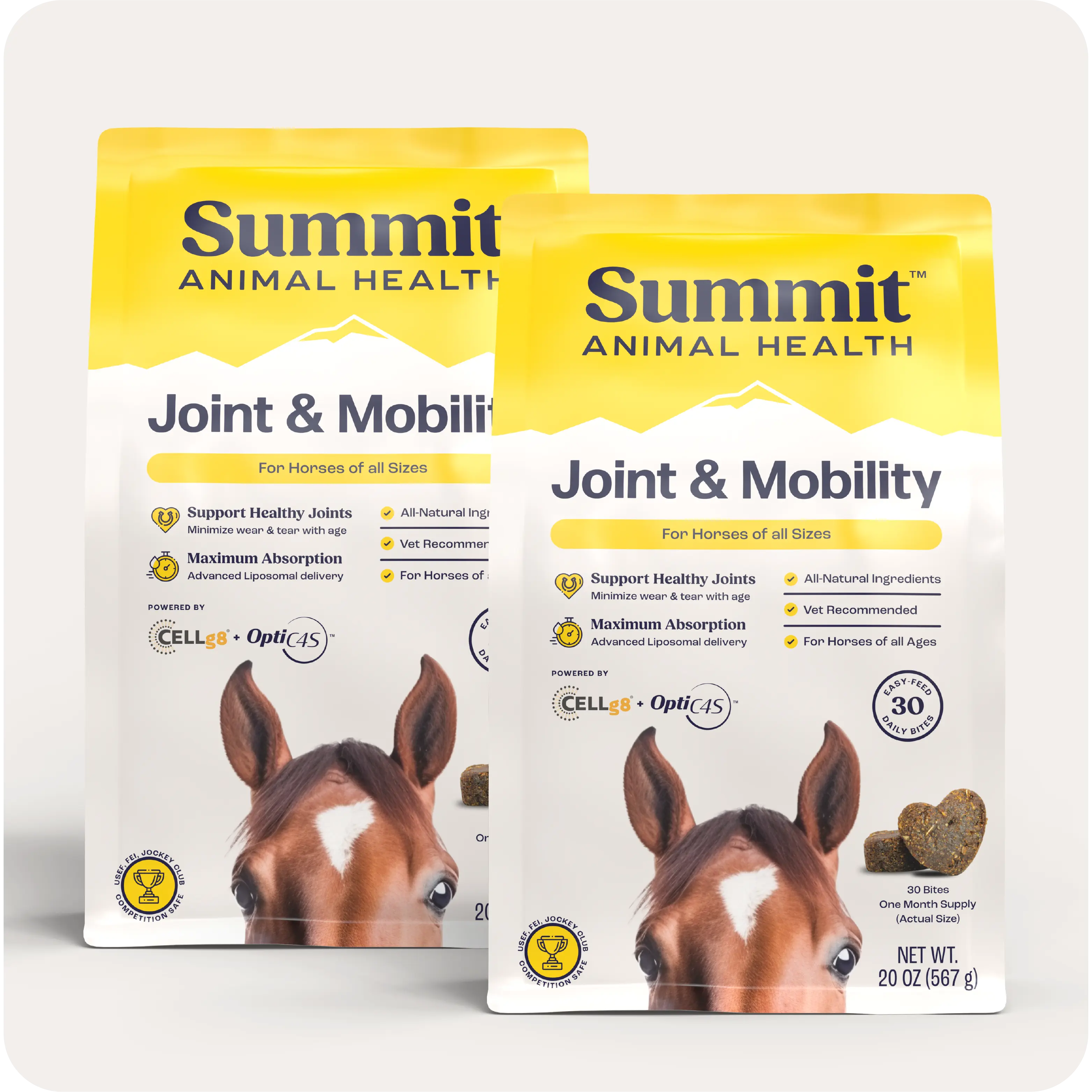 Joint & Mobility Bites