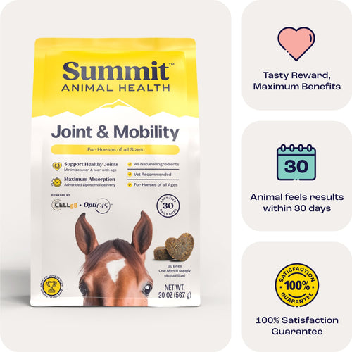 Joint & Mobility Bites for Horses