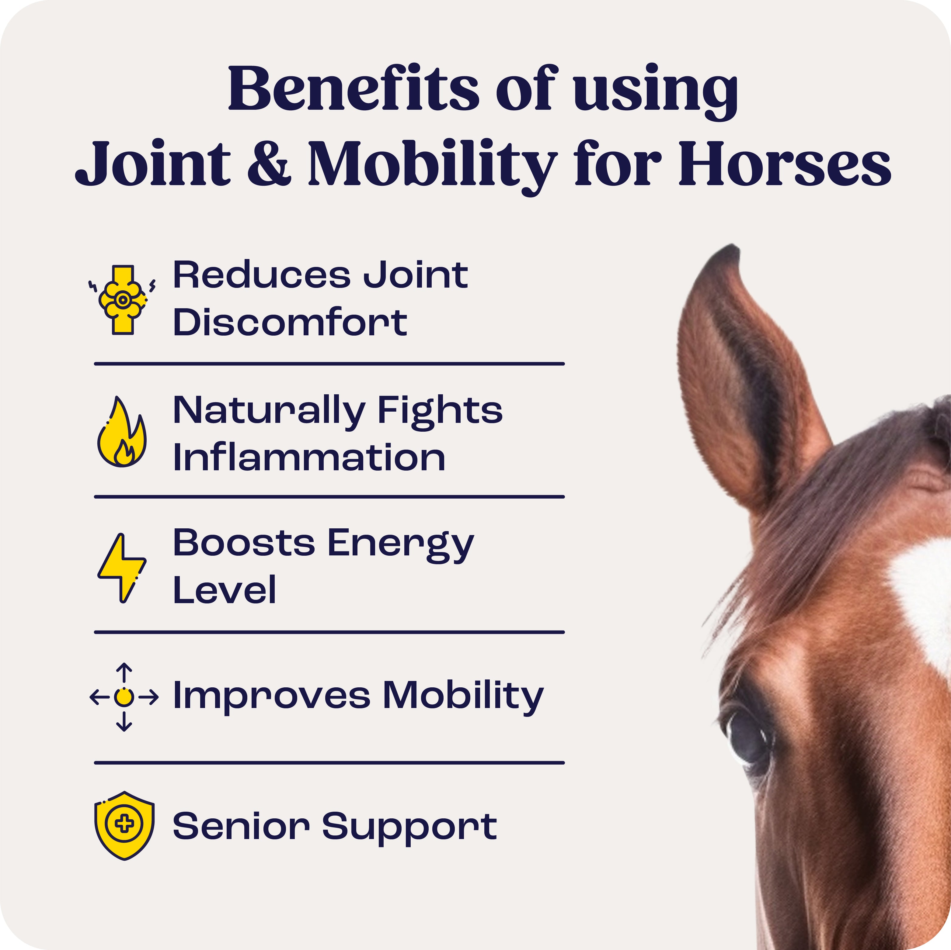 Joint & Mobility Bites benefits