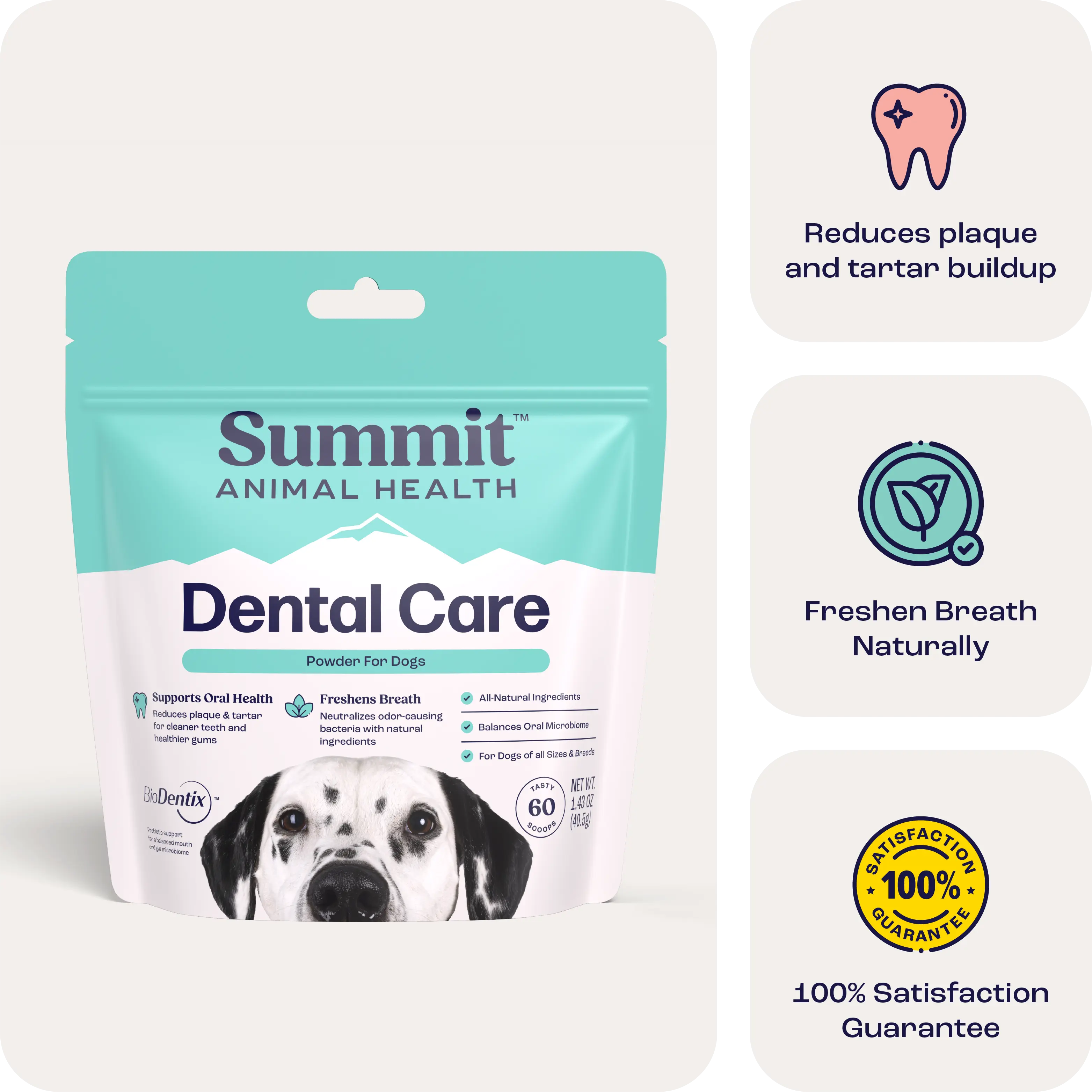 Dental Care for Dogs – Summit Animal Health