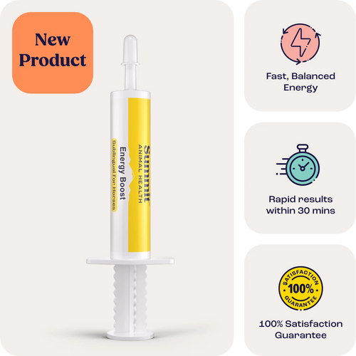 Energy Boost for Horses