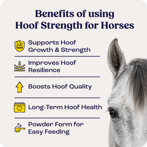 Strong Hoof Summit Hoof Strength for Horses – Summit Animal Health