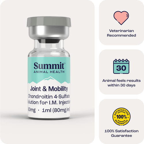Joint & Mobility IM for Dogs