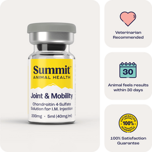 Summit Horse Injection for Joint & Mobility Support