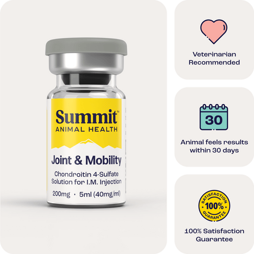 Joint & Mobility IM for Horses