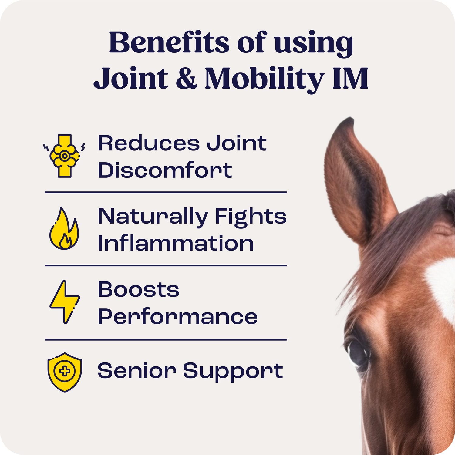 Injectable Horse 02