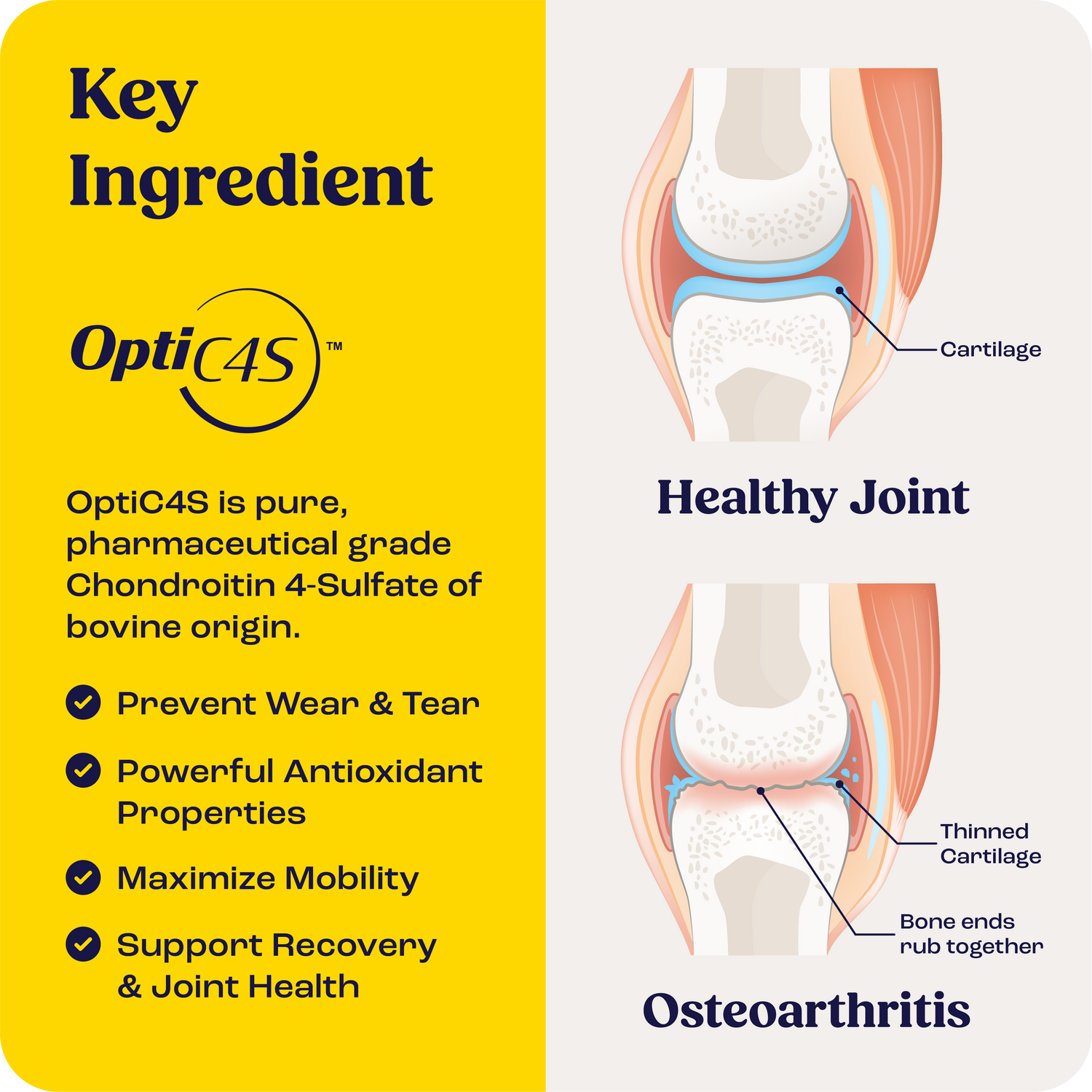 Injectable Detail
