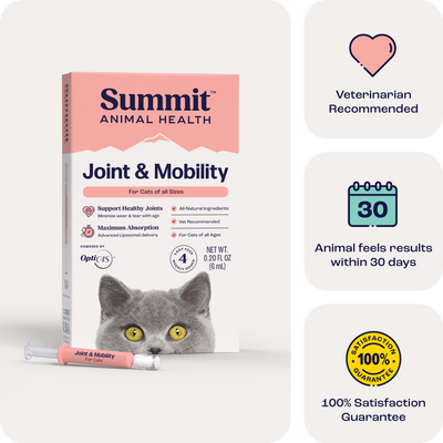 Joint & Mobility Liquid for Cats