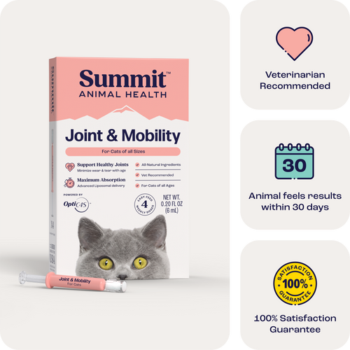 Joint & Mobility Liquid for Cats