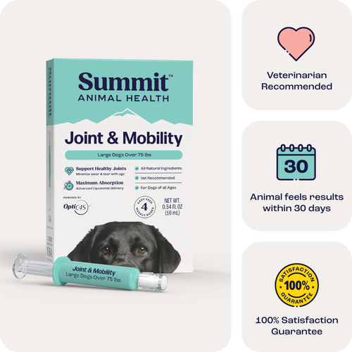 Joint & Mobility Liquid for Large Dogs