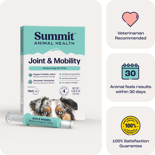 Joint & Mobility Liquid for Medium Dogs