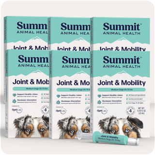 Joint & Mobility Liquid for medium dogs packaging by Summit Animal Health.