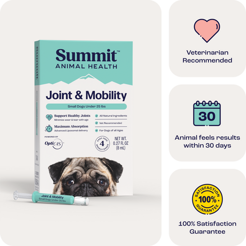Joint & Mobility Liquid for Dogs