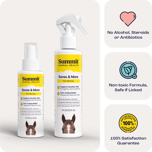 Sores & More for Horses