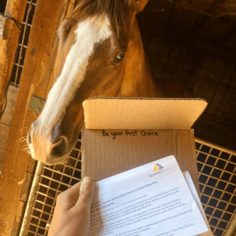 SAH review IM-horse1